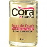 Casco de cavalo